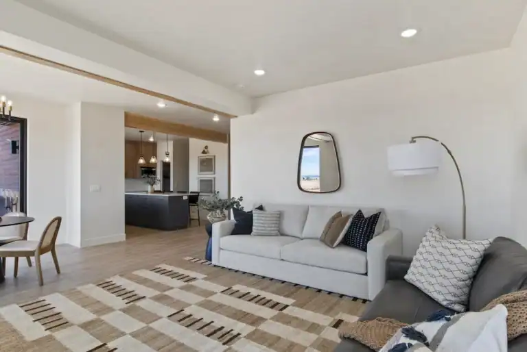 Bright living room with white walls, gray sofa, and modern decor.