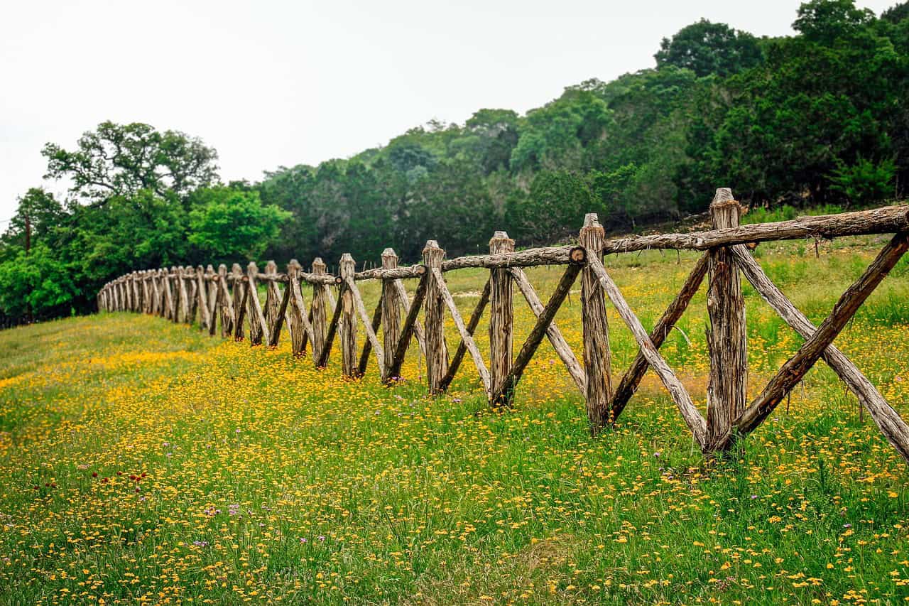 hill country texas, fence row, texas wildflowers, west texas, fence row, texas wildflowers, texas wildflowers, texas wildflowers, texas wildflowers, texas wildflowers, west texas